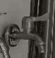 Vòi hồ Rota có mỏ inox 304