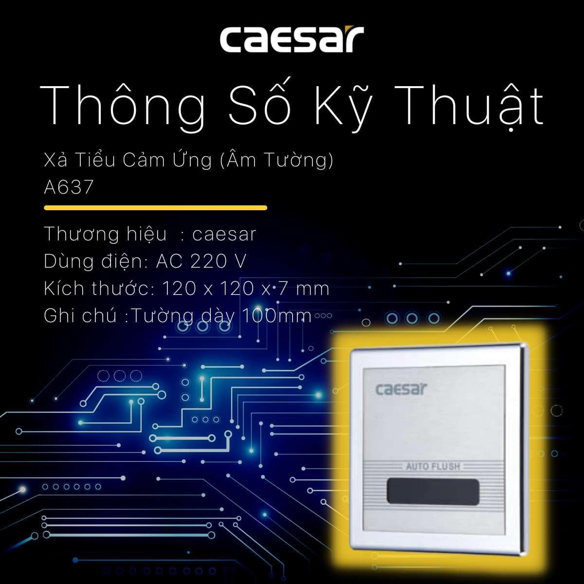 Van xả tiểu cảm ứng dùng điện Caesar A637