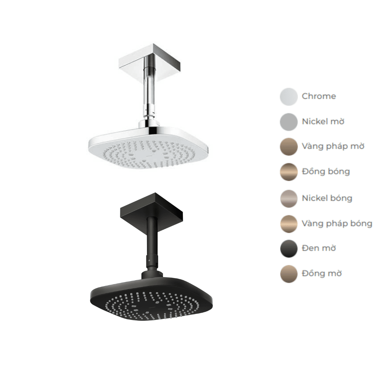 Bát sen tắm gắn trần TOTO TBW02003B1A (vuông, 210mm)