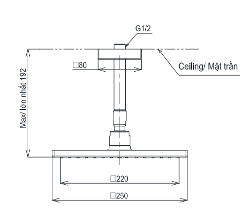 Bát sen tắm gắn trần TOTO TBW08002A1 (vuông, 250 mm)