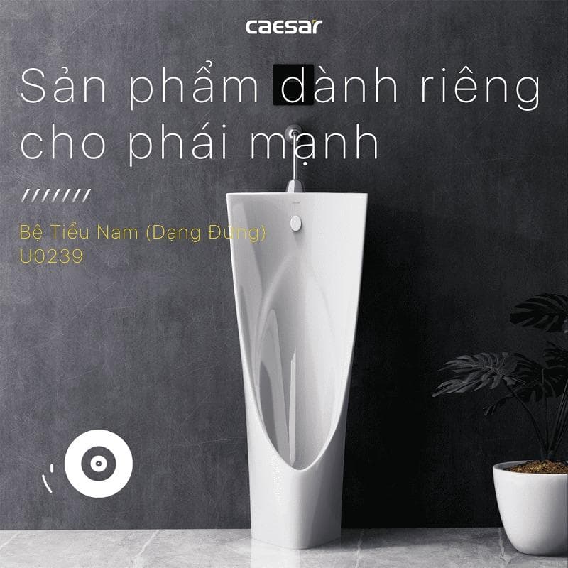 Bồn tiểu nam đặt sàn Caesar U0239
