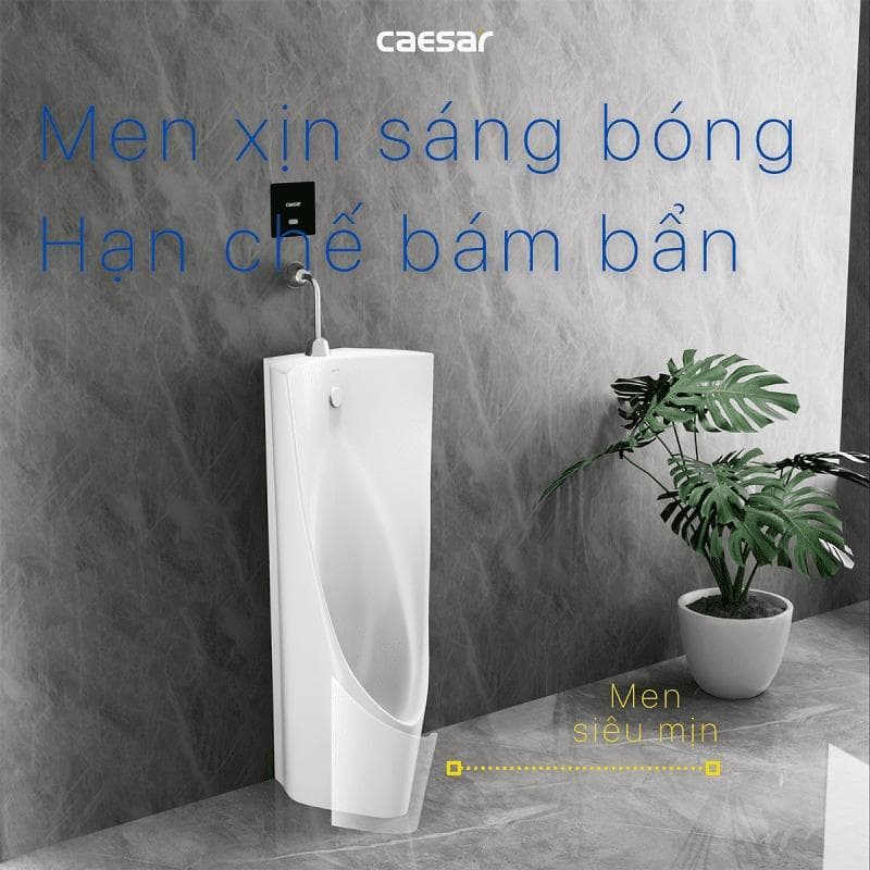 Bồn tiểu nam đặt sàn Caesar U0239